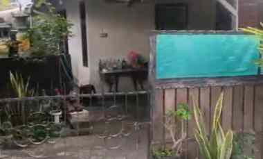 dijual tanah padangsambian klod
