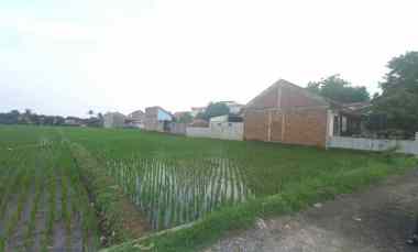 dijual tanah padasuka