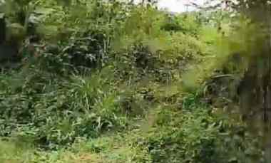 dijual tanah pakisaji malang 35 milyar