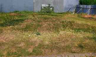 dijual tanah pakuwon city cluster san