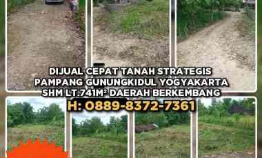 dijual tanah pampang gunung kidul