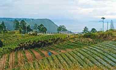 dijual tanah pangambaten