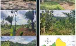 Jual Tanah Perkebunan Sangat Luas di Pangkalan Sukabumi