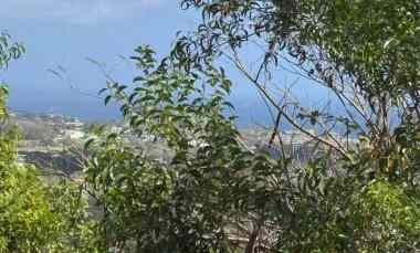 dijual tanah pantai balangan