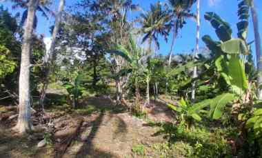 dijual tanah pantai balian selemadeg