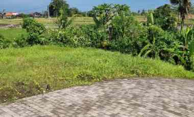 dijual tanah pantai kedungu