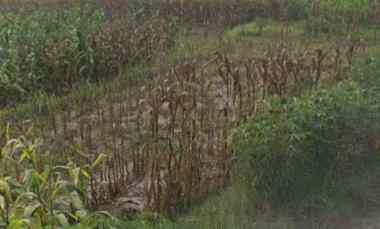 dijual tanah pantai pasut