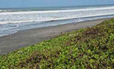 Tanah Dijual di Pantai Yeh Gangga