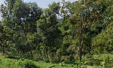 dijual tanah panyireupan