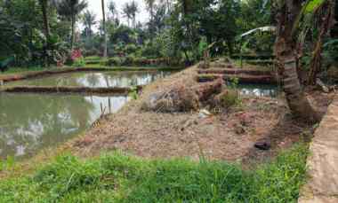 dijual tanah parung poncol rt 01 rw 02