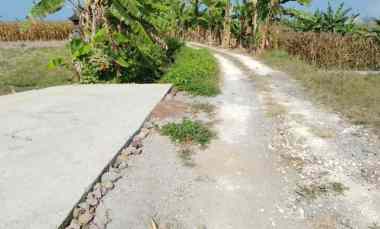 dijual tanah pasut tabanan