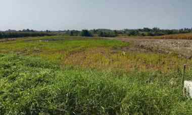 dijual tanah pasut tabanan
