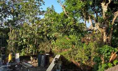 dijual tanah patung gwk
