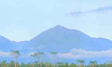 dijual tanah payangan gianyar bali
