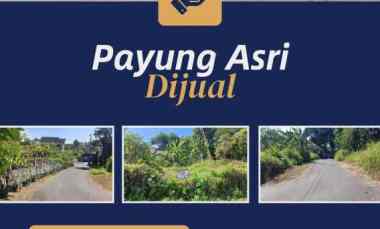 dijual tanah payung asri