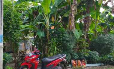 dijual tanah peguyangan kaja