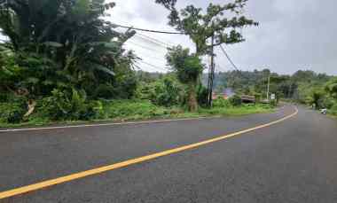 Tanah Jalan Utama Denpasar Gilimanuk dekat Exit Toll Antosari