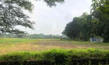 dijual tanah pekarangan di karangan karanganom klaten