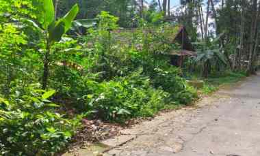 dijual tanah pekarangan galurung kemalang