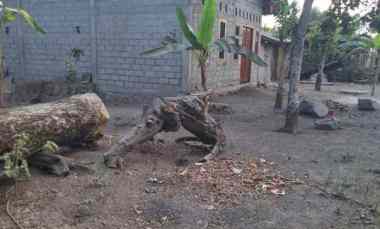 dijual tanah pekarangan joho