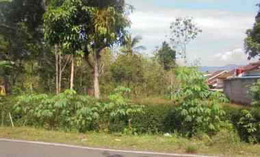 Dijual Tanah Pekarangan Strategis