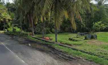 dijual tanah pekutatan antosari selabih