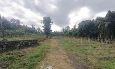 dijual tanah pekutatan jembrana bali