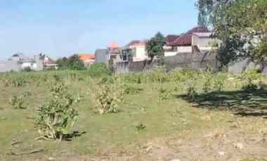 dijual tanah pemecutan kelod