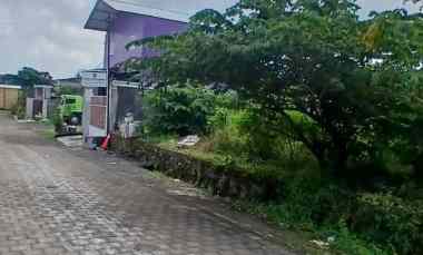 dijual tanah pemecutan klod