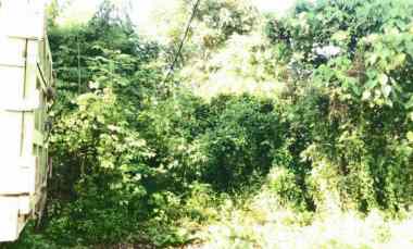 dijual tanah pemogan