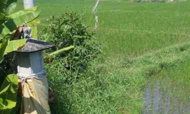 dijual tanah penyaringan