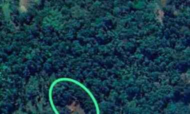 dijual tanah perkebunan cocok buat investasi