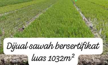 dijual tanah persawahan