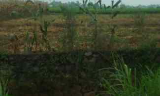 dijual tanah persawahan pinggir jalan