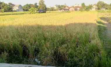 dijual tanah pertanian shm