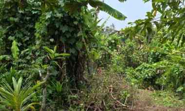 dijual tanah perum griya sekawan resudence