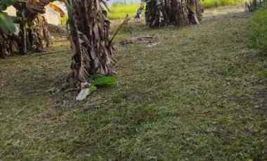 dijual tanah perumahan peruri teluk jambe