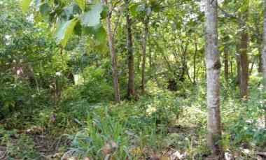 dijual tanah perumahan puri balecatur