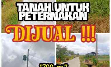 dijual tanah peternakan 1700m2 polanharjo klaten 350jt