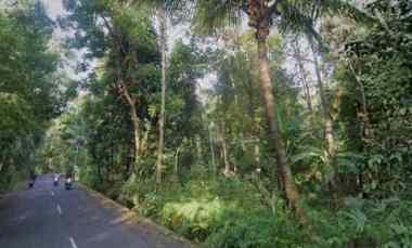 Dijual Tanah Kebun Cengkeh Pinggir jl Raya Peusing Cidomba