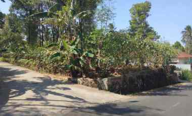 dijual tanah peusing jalaksana kuningan