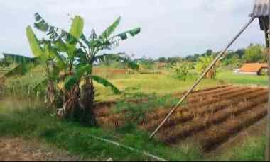 dijual tanah pinggir jalan