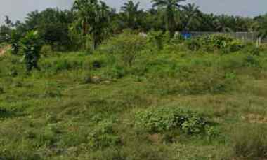 dijual tanah pinggir jalan