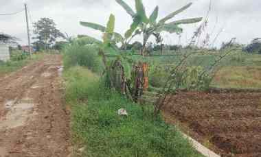 dijual tanah pinggir jalan di perbatasan beber cilimus