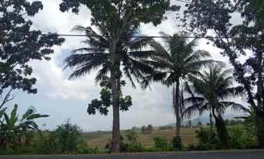 dijual tanah pinggir jalan nasional