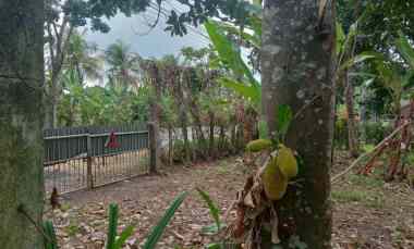 dijual tanah pinggir jalan nasional