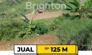 Tanah di Jalan Raya Puncak - Cipanas, Depan Rindu Alam Taman 2