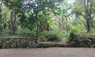 dijual tanah pinggir jalan udara sejuk pegunungan