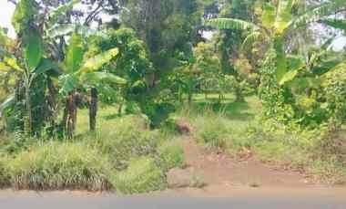 dijual tanah pinggir jalan view gunung di linggarjati