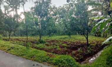 Dijual Tanah Pinggir jl Desa Sarwadadi